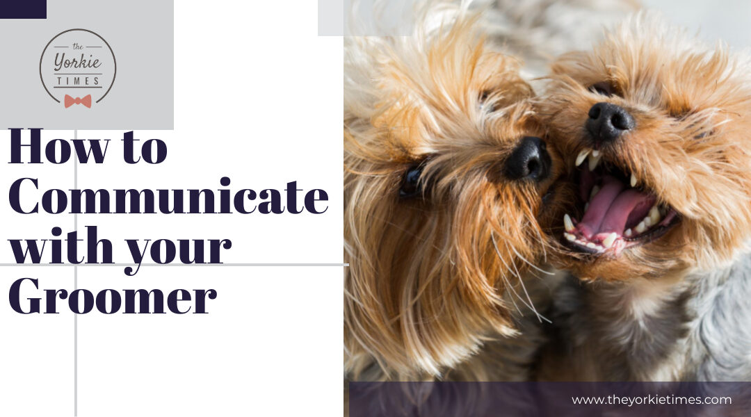 How to Communicate with your Groomer