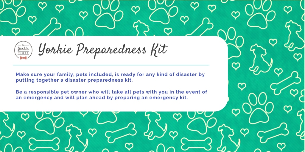 pet preparedness month