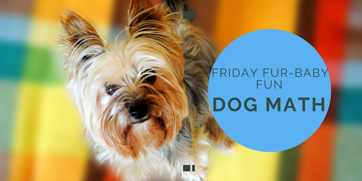Friday Fur-Baby Fun: Dog Math